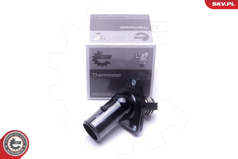 Thermostat, coolant